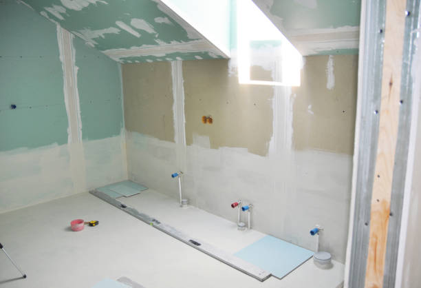 Best Mold Odor Removal Services  in Hometown, IL