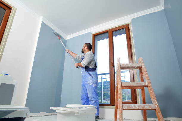 Best Asbestos and Lead Testing During Mold Inspection  in Hometown, IL