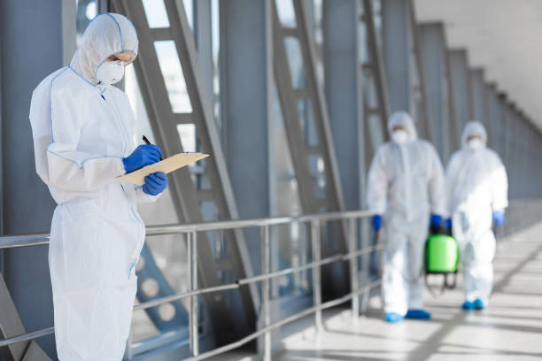 Best Environmental Consulting for Mold Prevention  in Hometown, IL
