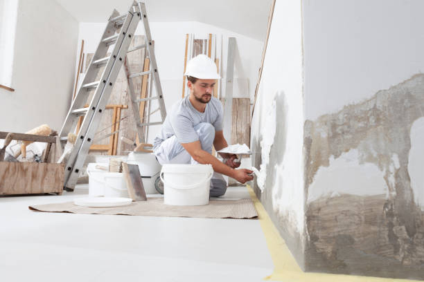 Best Black Mold Removal  in Hometown, IL