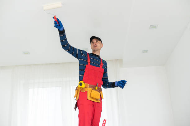 Best Emergency Mold Remediation  in Hometown, IL