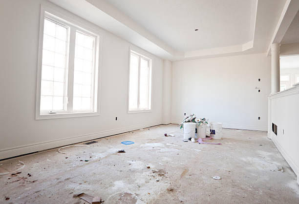 Best Mold Remediation for Rental Properties  in Hometown, IL