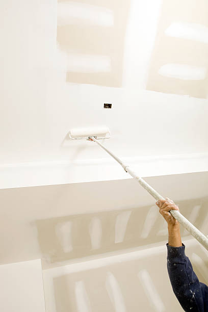 Best Real Estate Mold Inspection  in Hometown, IL
