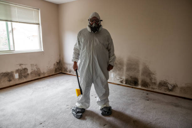 Best HVAC Mold Inspection and Cleaning  in Hometown, IL