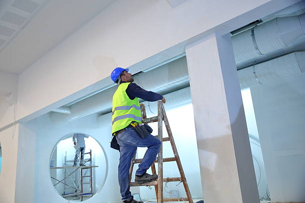 Best Mold Remediation for Healthcare Facilities  in Hometown, IL