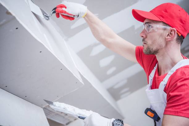 Best Water Damage & Mold Remediation  in Hometown, IL